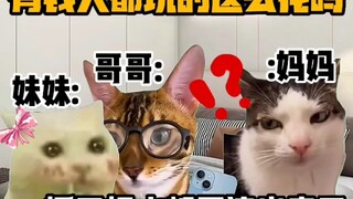《猫meme小剧场》有钱人都玩的这么花吗？