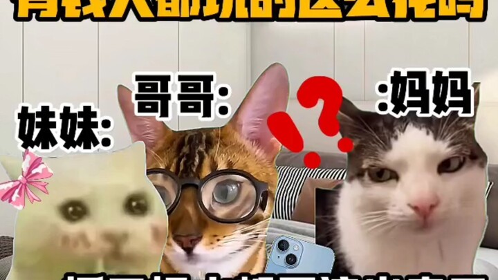 《猫meme小剧场》有钱人都玩的这么花吗？