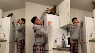 你和你的猫相处的怎么样？