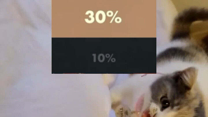 ความสำคัญของสัดส่วนสี