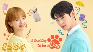 🇰🇷 EP.9 - A Good Day to Be a Dog 2023 [EngSub]