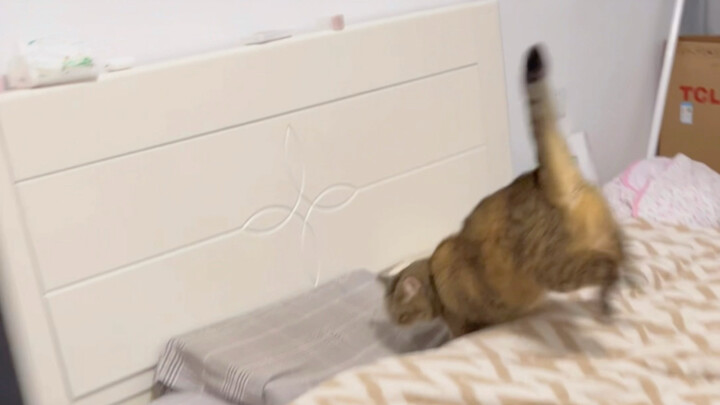 بمجرد أن أشاح برأسه، فهمتُ الأمر على الفور.