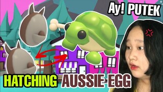 HATCHING AUSSIE EGGS IN ADOPT ME 2021 (LAPTRIP POTEK🤣)