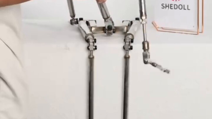 SHEDOLL สาธิตโครงกระดูกสนทั้งตัว