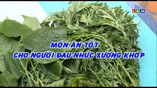 Món ăn bài thuốc | Món ăn tốt cho người đau nhức xương khớp | LONG AN TV