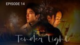 🇨🇳 | EP 14 Tender Light (2024) English Sub