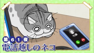 【中日字幕】与猫共度的夜晚/每晚和丘丘在一起 第三季 第61夜「电话对面的猫猫」