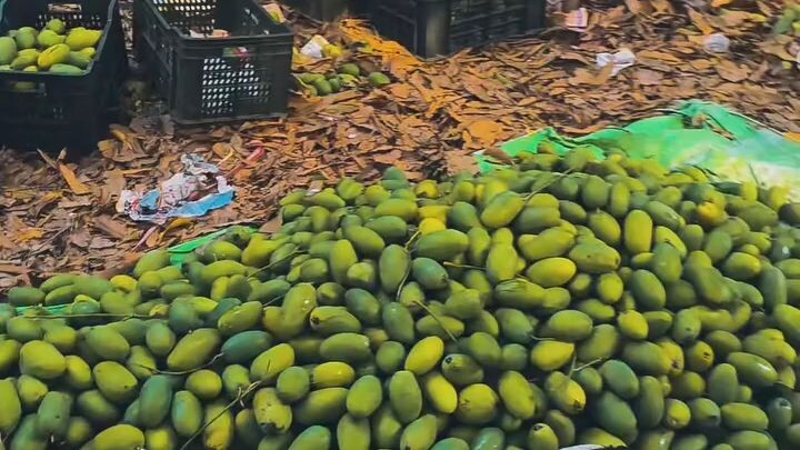 mango