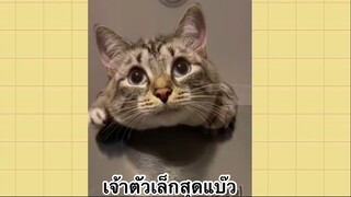 เพื่อนตัวน้อย สัตว์เลี้ยงแสนซน : เจ้าตัวเล็กสุดแบ๊ว