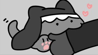 Ajari Anda cara berinteraksi dengan kucing hiu