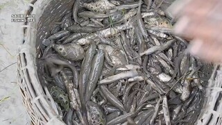 Fishing in rainy day 雨天钓鱼
