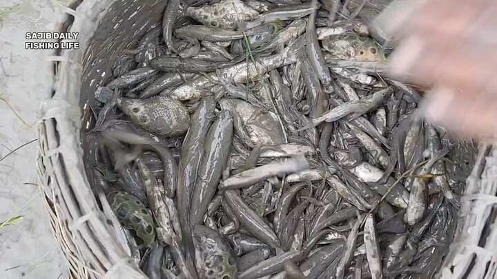 Fishing in rainy day 雨天钓鱼