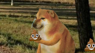 ดังนั้นโชคร้ายจึงไม่มีวันสิ้นสุด