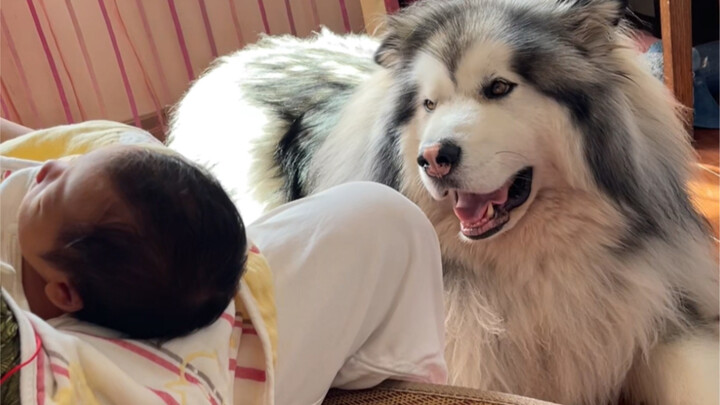 ตู้ตู้กับน้องสาวได้พบกันสักที!