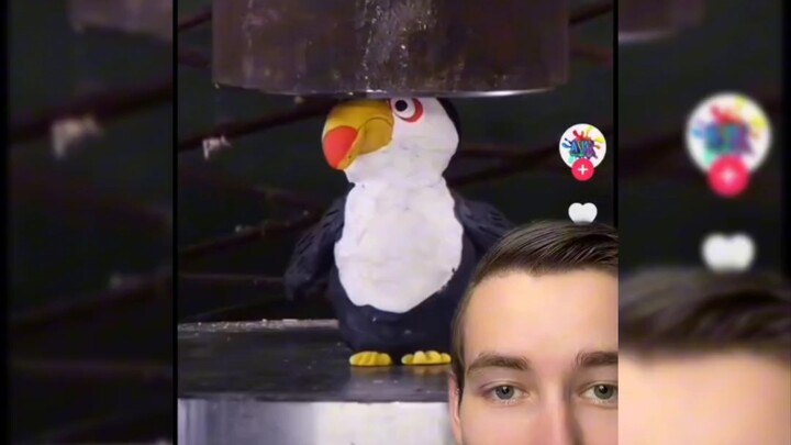 منذ ما اشتريت المكبس الهيدروليكي، ما عاد في البيت إلا المكبس الهيدروليكي.