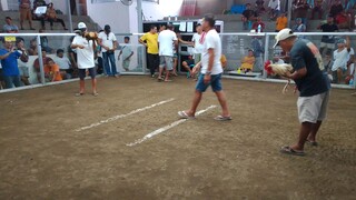 tagalugin lang Pera magaling mamalo🤪