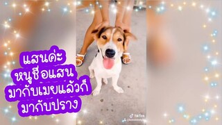 โลกของแสนดี ตอน ฝึกเต้น เจน นุ่น โบว์