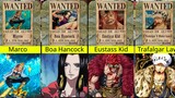 Bounties Strongest Captain in One Piece After Wano