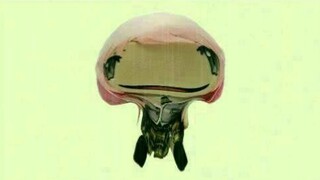 🍬Mushroom....😭🍬