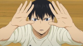 Kageyama Tobio [ AMV ] - Animals