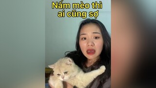 Tri nấm là phải kiên trì 🌝 mèo cat meohay