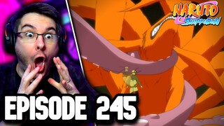 NARUTO VS THE NINE TAILS! | Naruto Shippuden Episode 245 REACTION | Anime Reaction