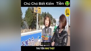 Chú cho biết kiếm tiền 🤑🤑 reviewphimhay nntreview2 reviewphim