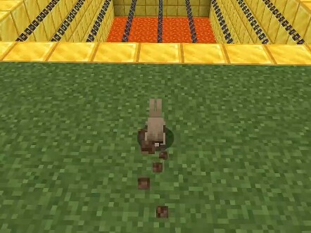 Who can pass this challenge?