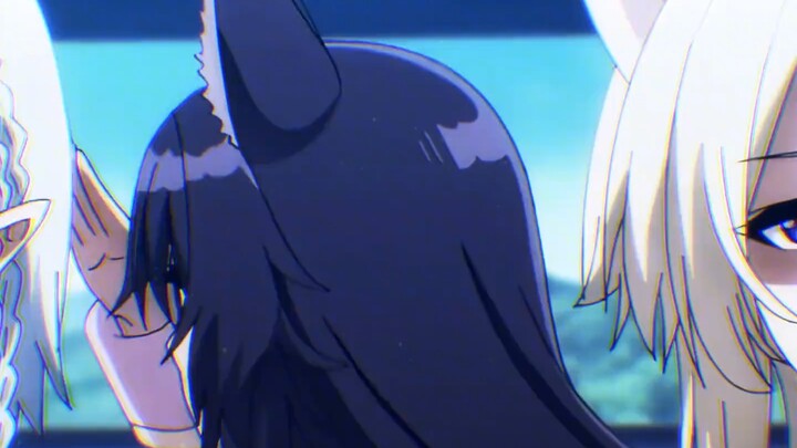 shadow