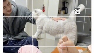 I'm totally in love! That seductive little smile...