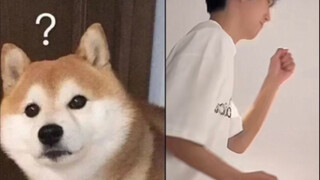 เวอร์ชันพิเศษของหยางหยางปังปัง เหนียนจิน: ฉันหมดหนทางแล้วจริงๆ