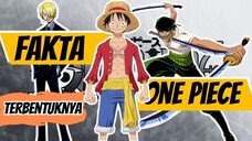 Fakta Yang Belum Banyak Orang Tau Tentang One Piece