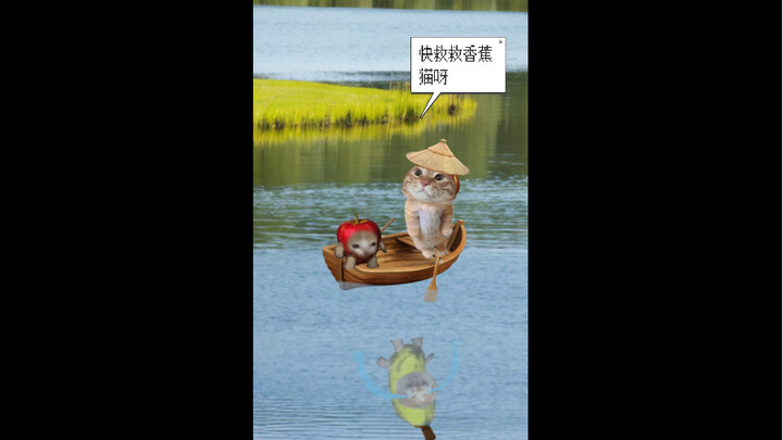 Extra Episode | The Banana Cat Fable: Chasing the Boat to Find the Banana