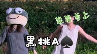 当我和菜菜一起跳黑桃A，我感觉自己脑子长出来了