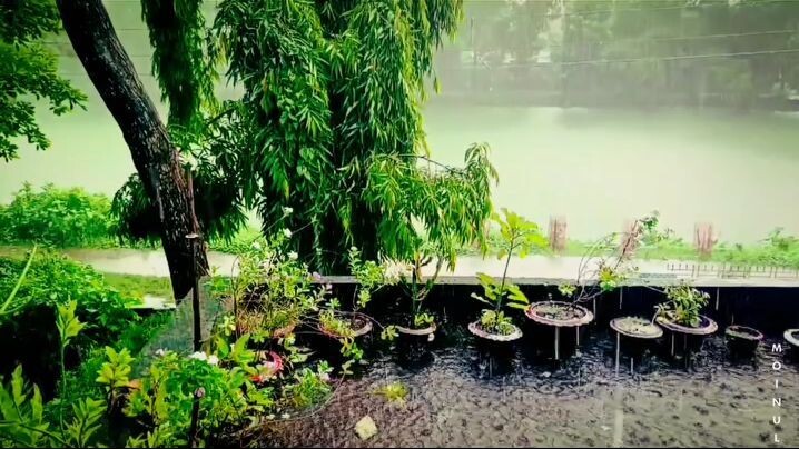 Rainy Day X Main Agar X My College Campus ️🩵#naturephotography #natura #video #