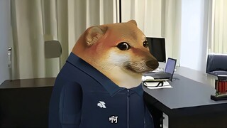 新兵被谈话的精彩时刻（2）