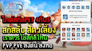 Ragnarok : Rebirth ไกด์สกิลPet 4กับ5แลพสกิลลับ เราควรใช้สกิลไหน PVP PVE ลงดัน ลงหอ