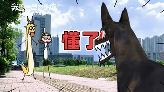 尾巴是不会撒谎的！| 原创动画 | 我的爸爸是条龙