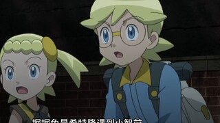 Rabbit lovers! Trainers who use rabbit Pokémon! [Trainer Guide] Extra
