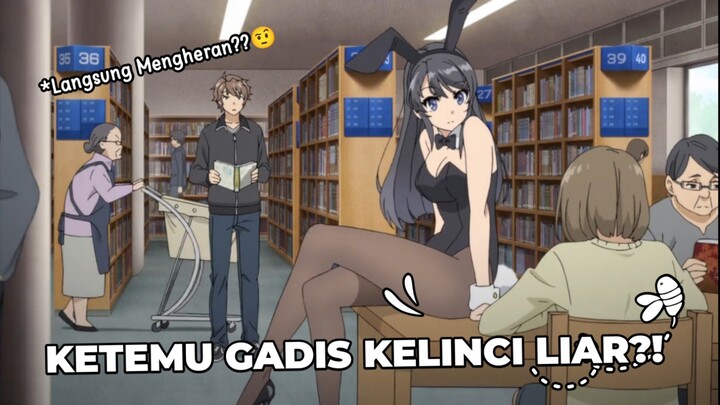 Gak Sengaja Nemu Gadis Kelinci?! Review Seishun Buta Yarou~