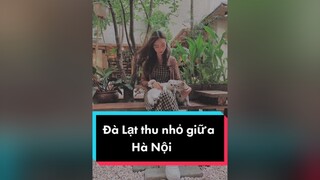 Có 1 Đà Lạt thu nhỏ giữa lòng Hà Nộiancungtiktok luomwcat meo hanoi cafecuoituan meocute foryou catsoftiktok fyp