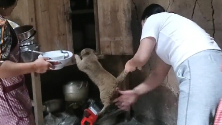 “Rekaman video yang dengan keras diminta untuk dihapus oleh pihak terkait”