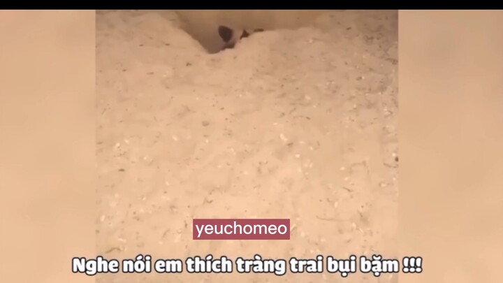 giải trí giữa tuần thui