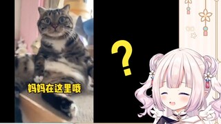 日本萝莉看《臭卷宝不认识妈妈了！》当场绷不住
