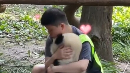 พี่เลี้ยง: ผมก็ไม่อยากอุ้มเขาตอนเลิกงานหรอกนะ แต่เขามือสองข้างกอดคอผมอยู่นี่ไง น่ารักจนใจจะขาดอยู่แล