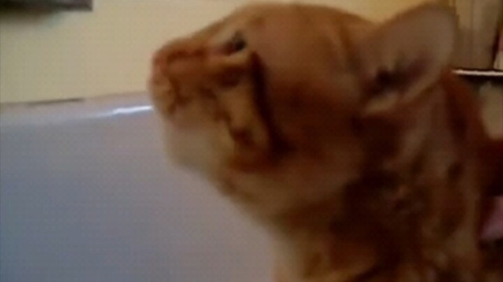 Sorry, sir—I didn’t recognize you just now.