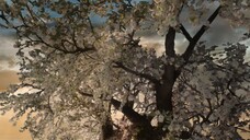 🇨🇳Ep.36 - Love In The Clouds (2025) Eng Sub