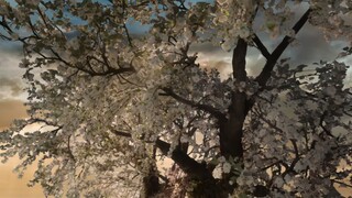 🇨🇳Ep.36 - Love In The Clouds (2025) Eng Sub