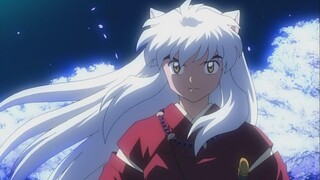 [Khai sáng Niyin] Bài hát kết thúc bài hát chủ đề truyền hình InuYasha Bản bán hàng OP&ED