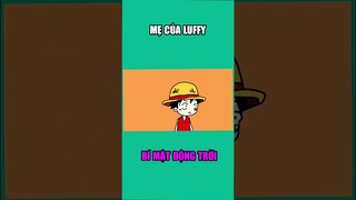 Bí mật động trời - Mẹ của Luffy xuất hiện